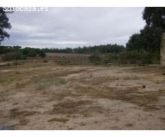 FINCA RUSTICA DE 7 Has AL LADO DE SEVILLA