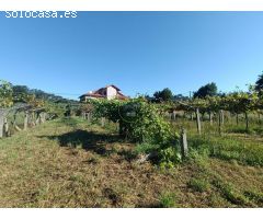 Finca urbanizable en Mos