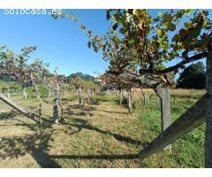 Finca urbanizable en Mos
