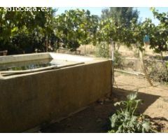  en Venta en La Matanza, León