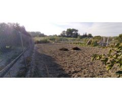 Parcela en Venta en Calasparra, Murcia