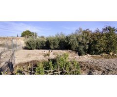 Parcela en Venta en Calasparra, Murcia