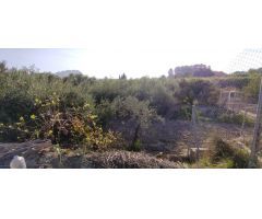 Parcela en Venta en Calasparra, Murcia