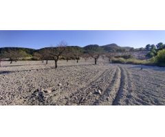 Parcela en Venta en Moratalla, Murcia