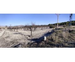Parcela en Venta en Moratalla, Murcia
