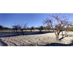 Parcela en Venta en Moratalla, Murcia