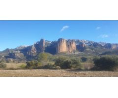 TERRENO OPTIMO PARA CAMPING