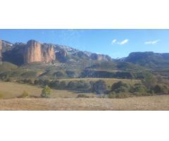 TERRENO OPTIMO PARA CAMPING