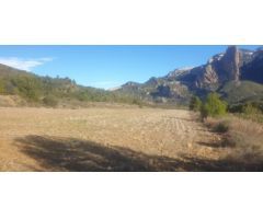 TERRENO OPTIMO PARA CAMPING