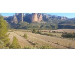 TERRENO OPTIMO PARA CAMPING