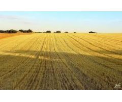 Propiedad agrícola en Teruel capital