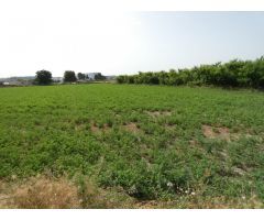 ++Terreno no urbano en Alguazas zona El Paraje++, 1513 m