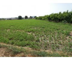 ++Terreno no urbano en Alguazas zona El Paraje++, 1513 m