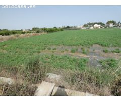 ++Terreno no urbano en Alguazas zona El Paraje++, 1513 m
