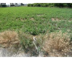 ++Terreno no urbano en Alguazas zona El Paraje++, 1513 m