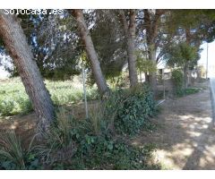 ++Terreno urbano especial huerta en Molina de Segura zona Huerta++, 3700 m