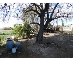 ++Terreno urbano especial huerta en Molina de Segura zona Huerta++, 3700 m