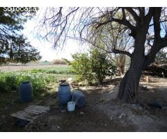 ++Terreno urbano especial huerta en Molina de Segura zona Huerta++, 3700 m