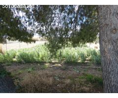 ++Terreno urbano especial huerta en Molina de Segura zona Huerta++, 3700 m