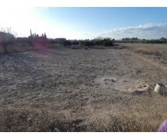 ++Terreno rustico en Molina de Segura zona Huerta, torre de montijo++ 942 m