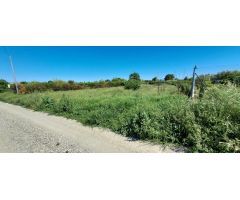 ++Terreno rustico en Alguazas zona Huerta++, 1454 m