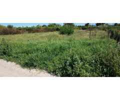 ++Terreno rustico en Alguazas zona Huerta++, 1454 m