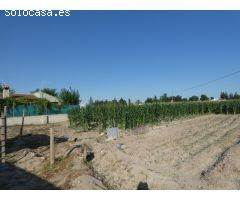 ++Terreno no urbano en Alguazas++ zona EL PARAJE DE ALQUAZAS, 2040 m. superficie parcela