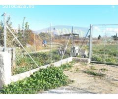 ++TERRENO AGRARIO, VALLADO, CON OLIVOS Y MELOCOTONEROS A 5 MINUTOS DE MOLINA DE SEGURA+