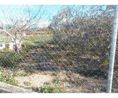 ++TERRENO AGRARIO, VALLADO, CON OLIVOS Y MELOCOTONEROS A 5 MINUTOS DE MOLINA DE SEGURA+