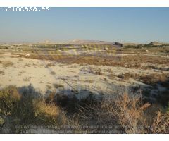 +PARCELA RUSTICA DE 56.000M2 EN LA HUERTA DE ALGUAZAS++