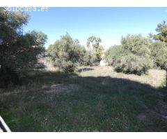 ++Terreno urbano en Molina de Segura zona LOS Conejos, ++1000 m