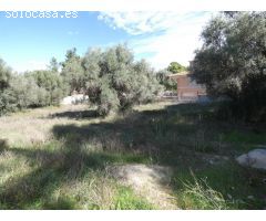 ++Terreno urbano en Molina de Segura zona LOS Conejos, ++1000 m