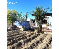 ++Dos terrenos con casa de aperos de 20 m² en Alguazas++