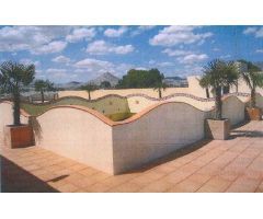 Solar urbano en Alquiler en Novelda, Alicante