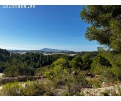Parcela en Venta en Callosa dEn Sarria, Alicante