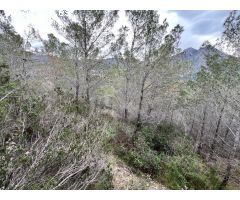 Parcela en Venta en Callosa dEn Sarria, Alicante