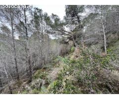 Parcela en Venta en Callosa dEn Sarria, Alicante