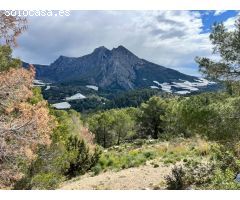Parcela en Venta en Callosa dEn Sarria, Alicante