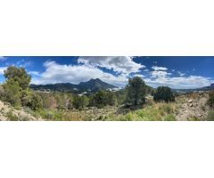 Parcela en Venta en Callosa dEn Sarria, Alicante