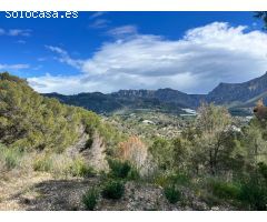 Parcela en Venta en Callosa dEn Sarria, Alicante