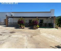 VENTA DE CAMPO ZONA CTRA. ARCOS - SAN JOSE DEL VALLE