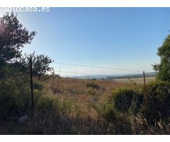 Venta Parcela Zona Ctra. Arcos - Algar