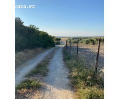 Venta Parcela Zona Ctra. Arcos - Algar
