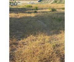 Venta Parcela Zona Ctra. Arcos - Algar