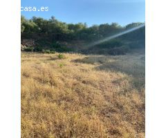 Venta Parcela Zona Ctra. Arcos - Algar