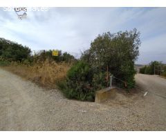 VENTA DE PARCELA ZONA RONCERO ALTO (VENTA EL PAVO)