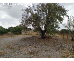 VENTA DE PARCELA ZONA RONCERO ALTO (VENTA EL PAVO)