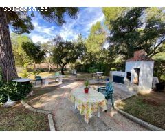 VENTA DE FINCA RUSTICA