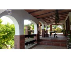 VENTA FINCA EN CARRETERA ALGAR