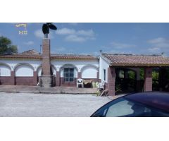 VENTA FINCA EN CARRETERA ALGAR